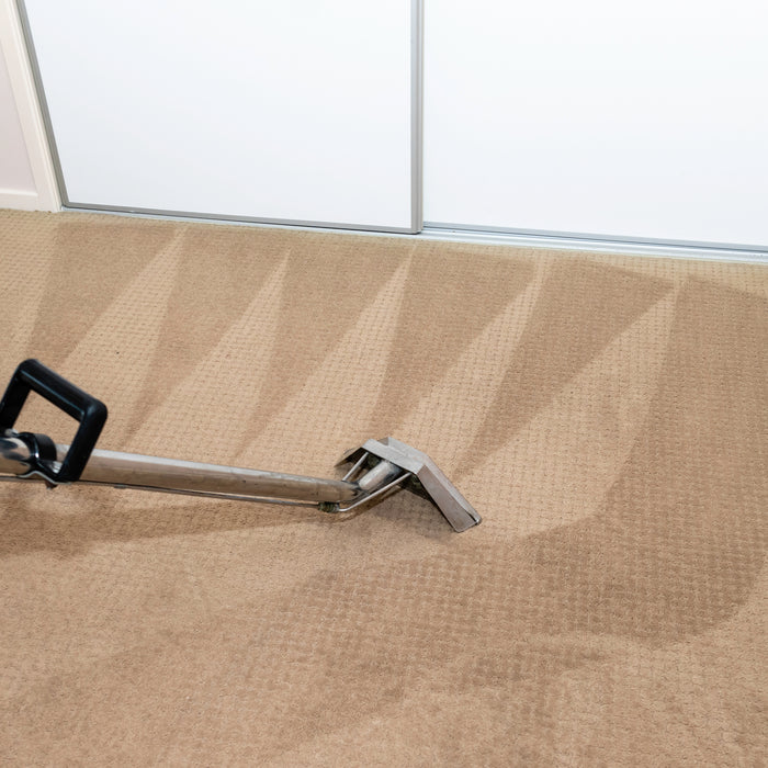 Tips for Carpet Cleaning Contractors to Stand Out & Succeed